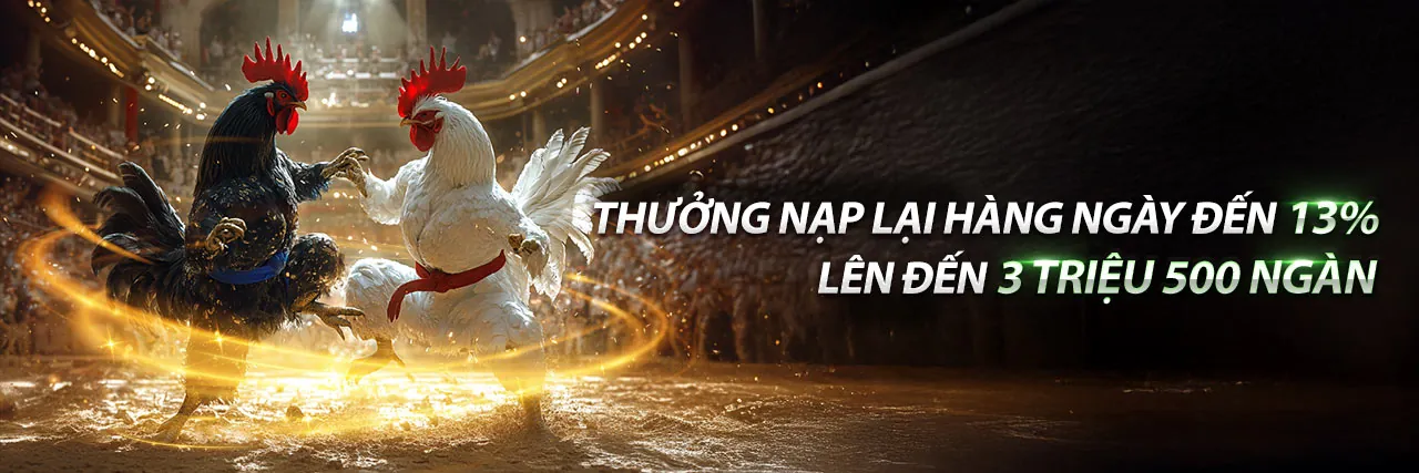 Blog 789vnd - Nguồn Tin Cá Cược Trực Tuyến